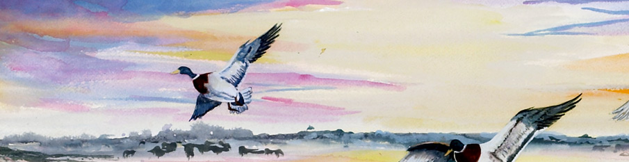 About Creations-N-Color